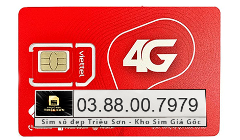 mua sim 0388007979