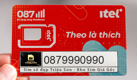 mua sim 0879990990