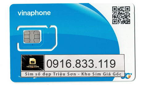 mua sim 0916833119