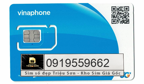 mua sim 0919559662