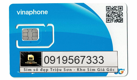 mua sim 0919567333