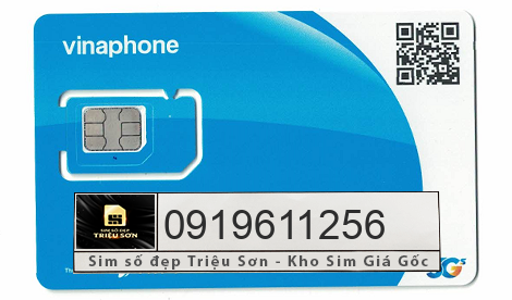mua sim 0919611256