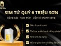 Sim tứ quý 6 (6666) hợp mệnh nào? Giá trị phong thủy và cách chọn tốt nhất