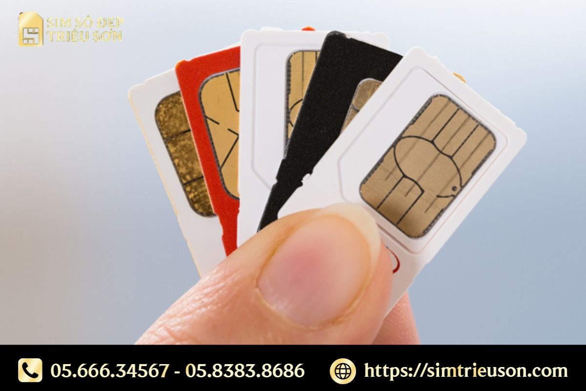Xu hướng cách chọn 1 sim số đẹp hiện nay là gì?