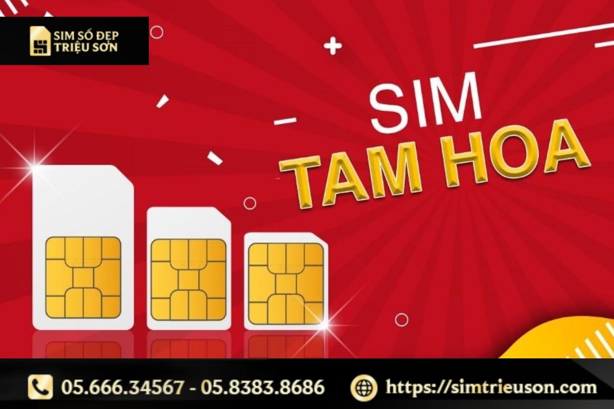 Sim Tam Hoa - một trong những sim số đẹp được nhiều người tìm kiếm