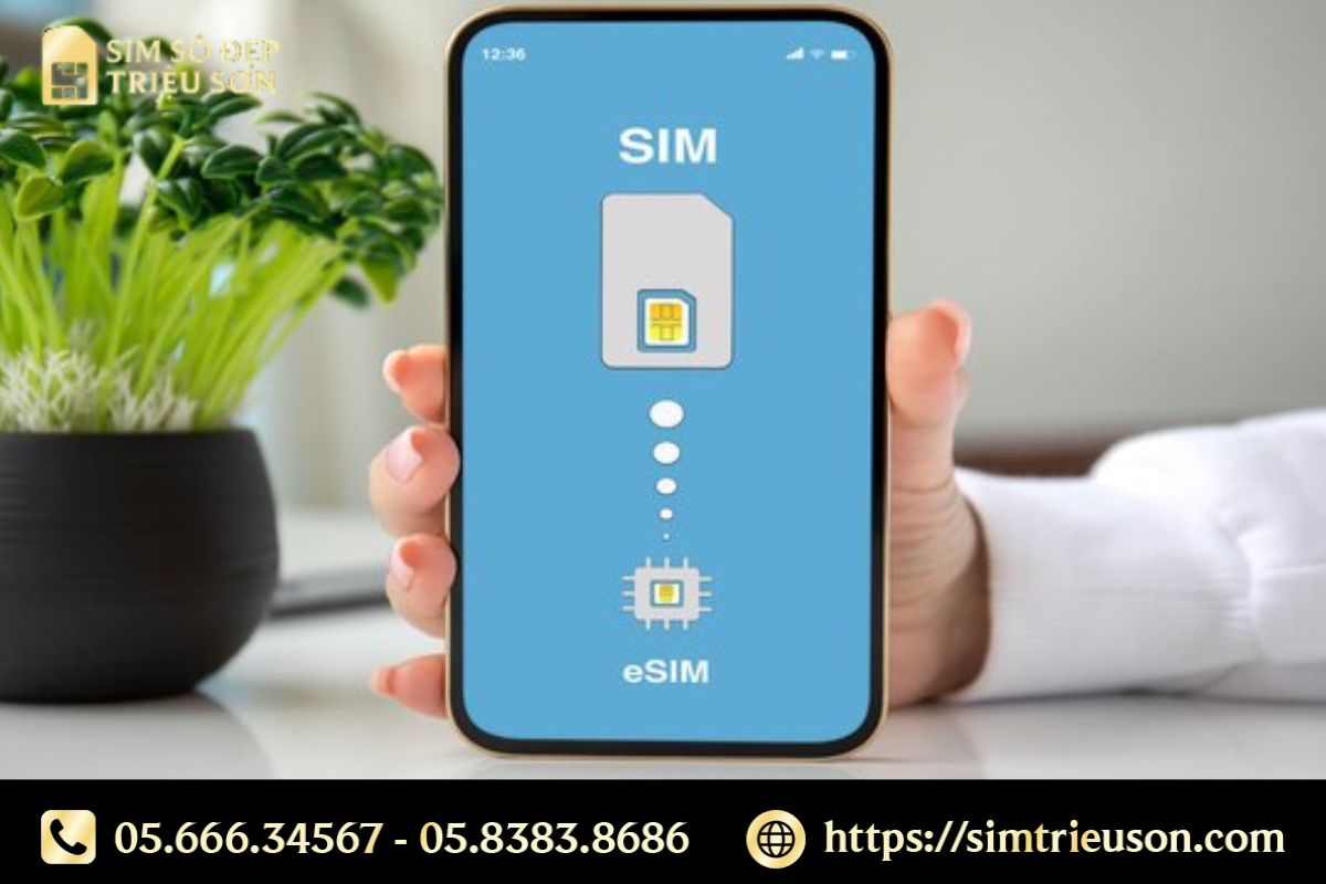 Cầm cố sim số đẹp là gì?