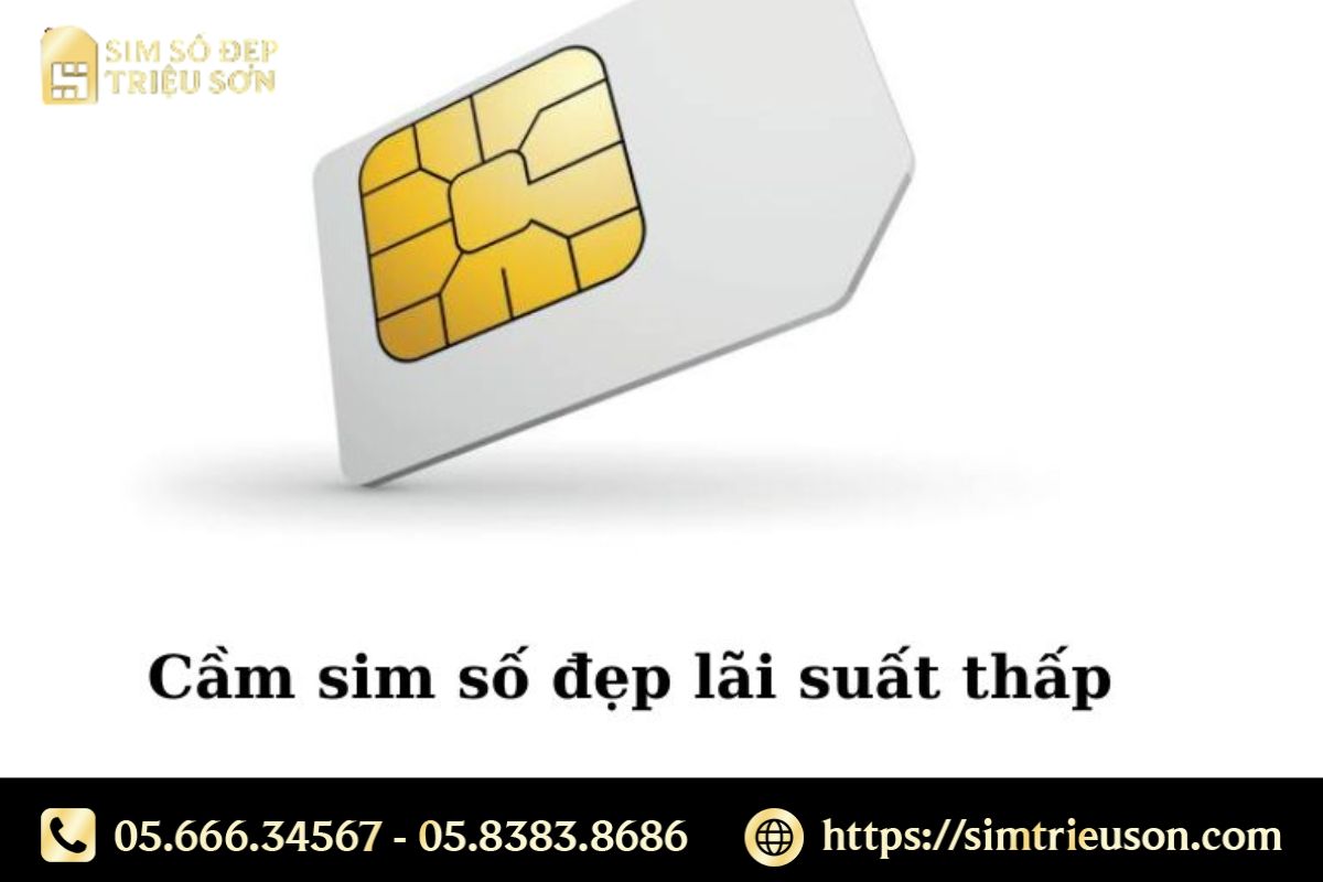 Cầm sim số đẹp hiện nay tại địa chỉ uy tín sẽ có lãi suất thấp