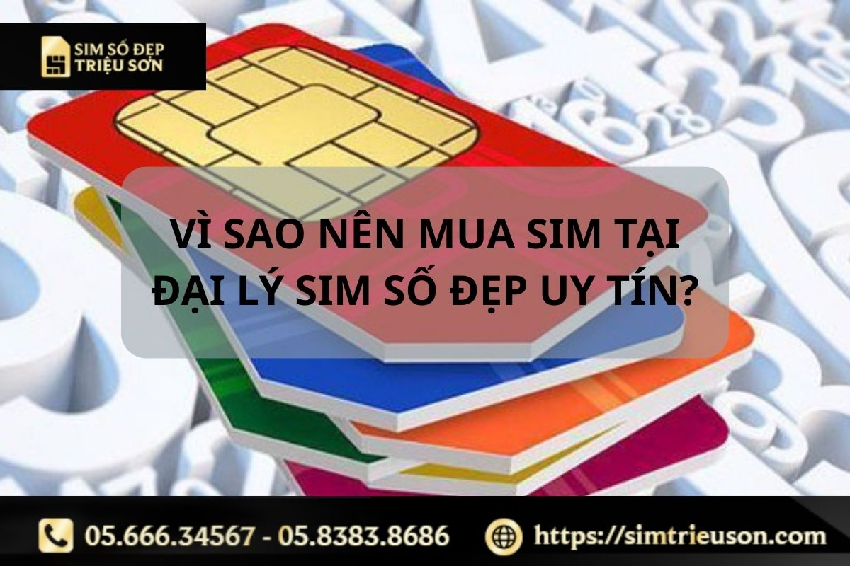 Nên chọn các đại lý sim số đẹp uy tín