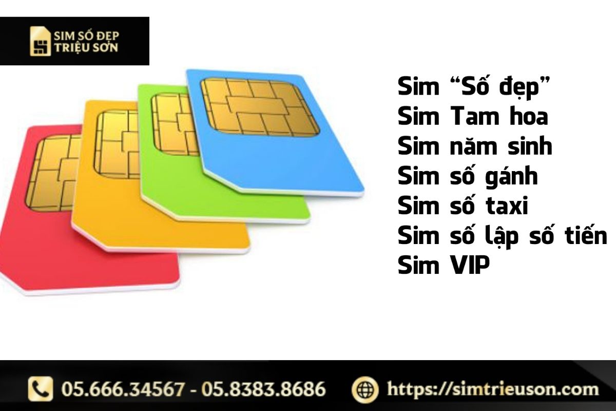 Các loại sim phổ biến tại đại lý sim số đẹp