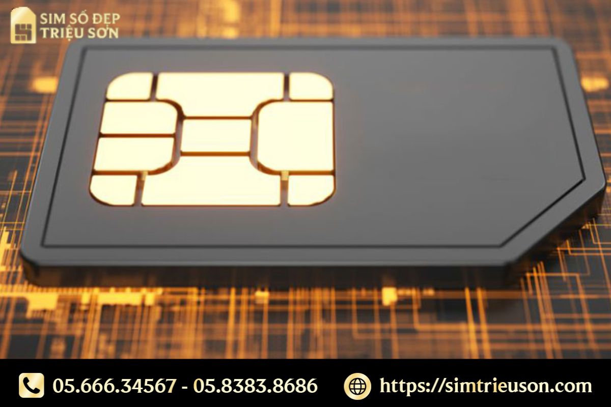 Vì sao nhiều người chọn sim giá rẻ số đẹp để gọi làm ăn?