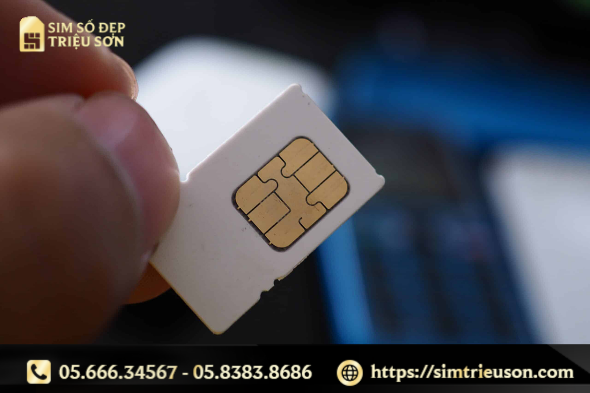 Kho sim giá rẻ đa dạng tại Triệu Sơn