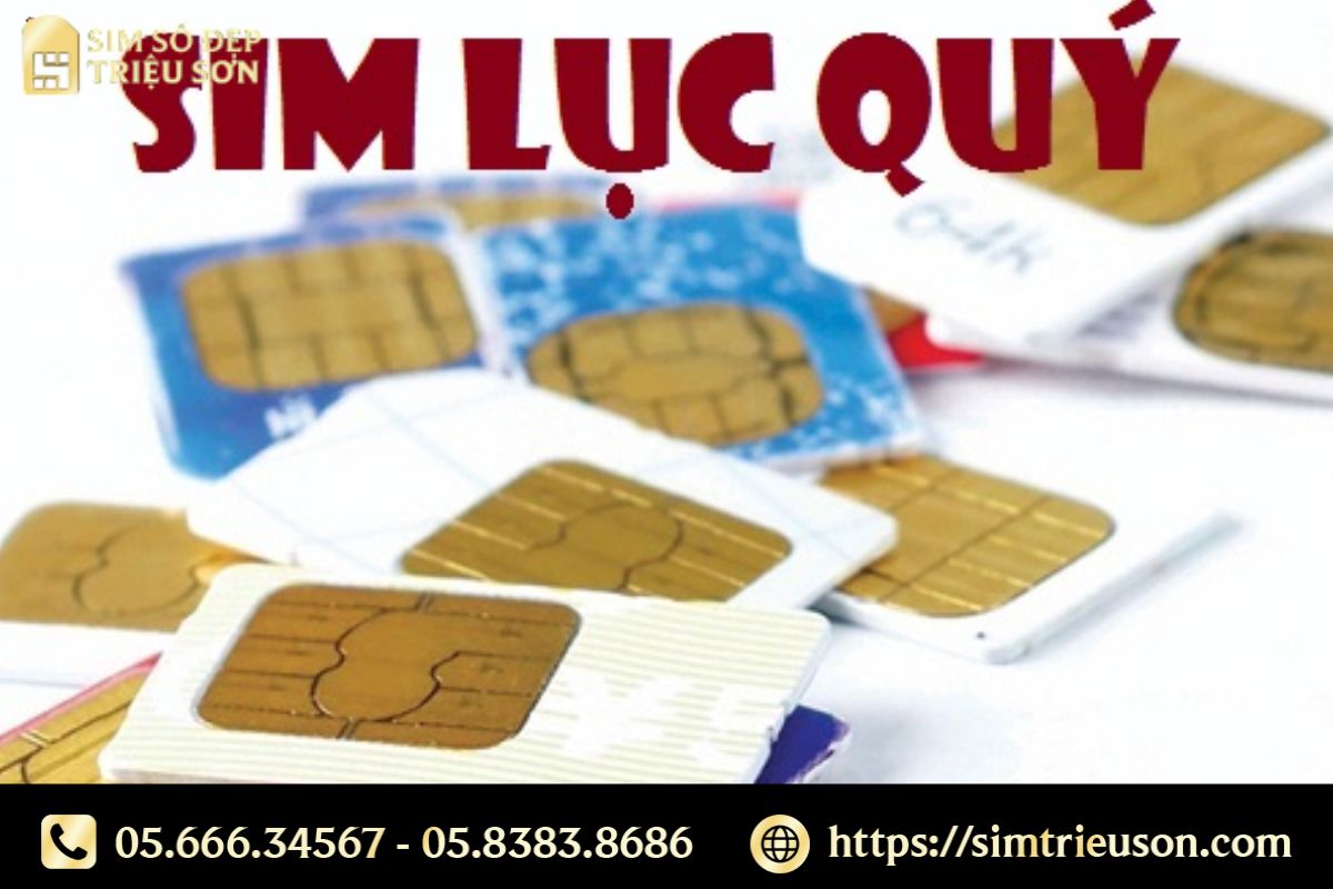 Mỗi loại sim lục quý lại có giá trị và ý nghĩa khác nhau
