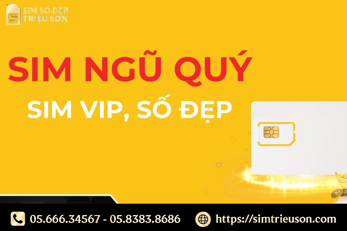 Sim Ngũ Quý – Sự lựa chọn của những người thích khác biệt