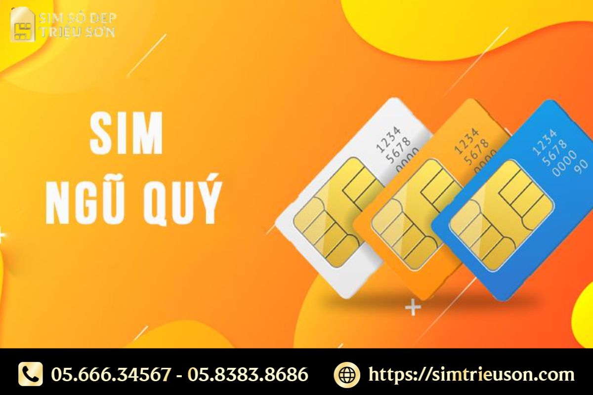 Mỗi con số trong dãy ngũ quý mang một thông điệp riêng