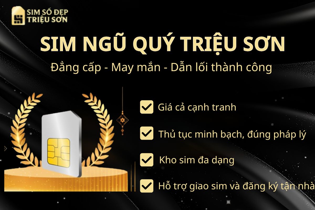 Tại Triệu Sơn, bạn sẽ được trải nghiệm một kho sim đa dạng