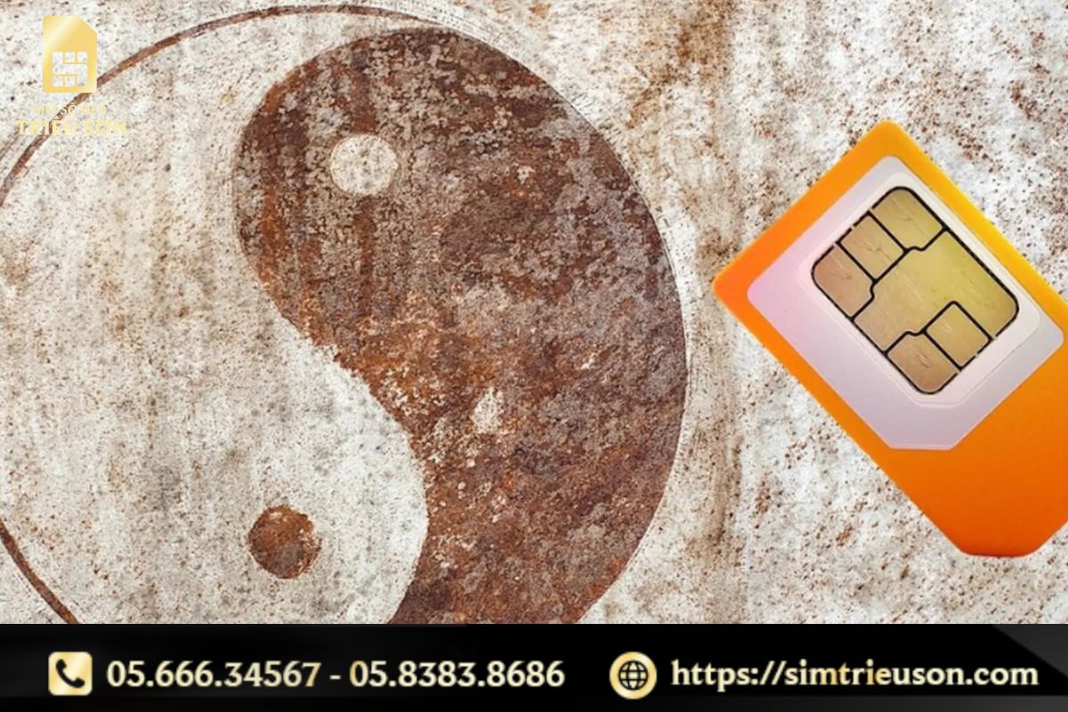 Sim phong thủy là gì?