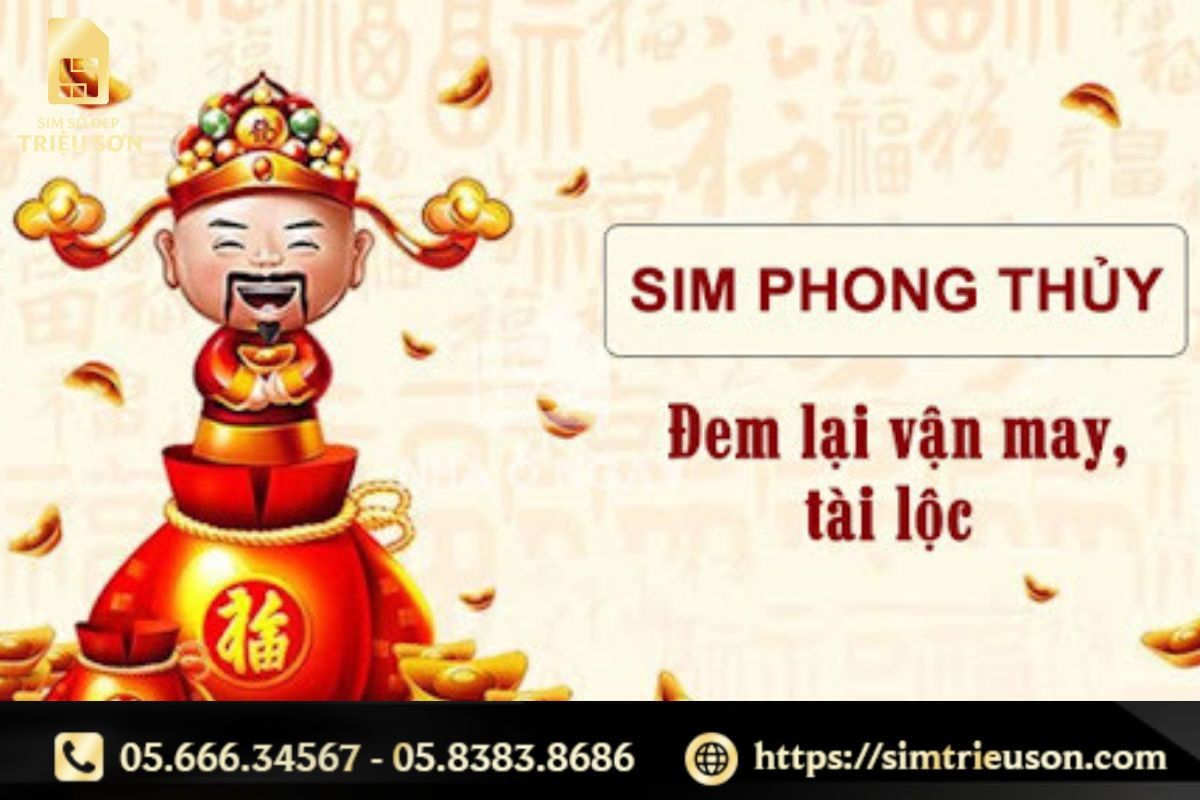 Tại sao nên chọn sim phong thuỷ?