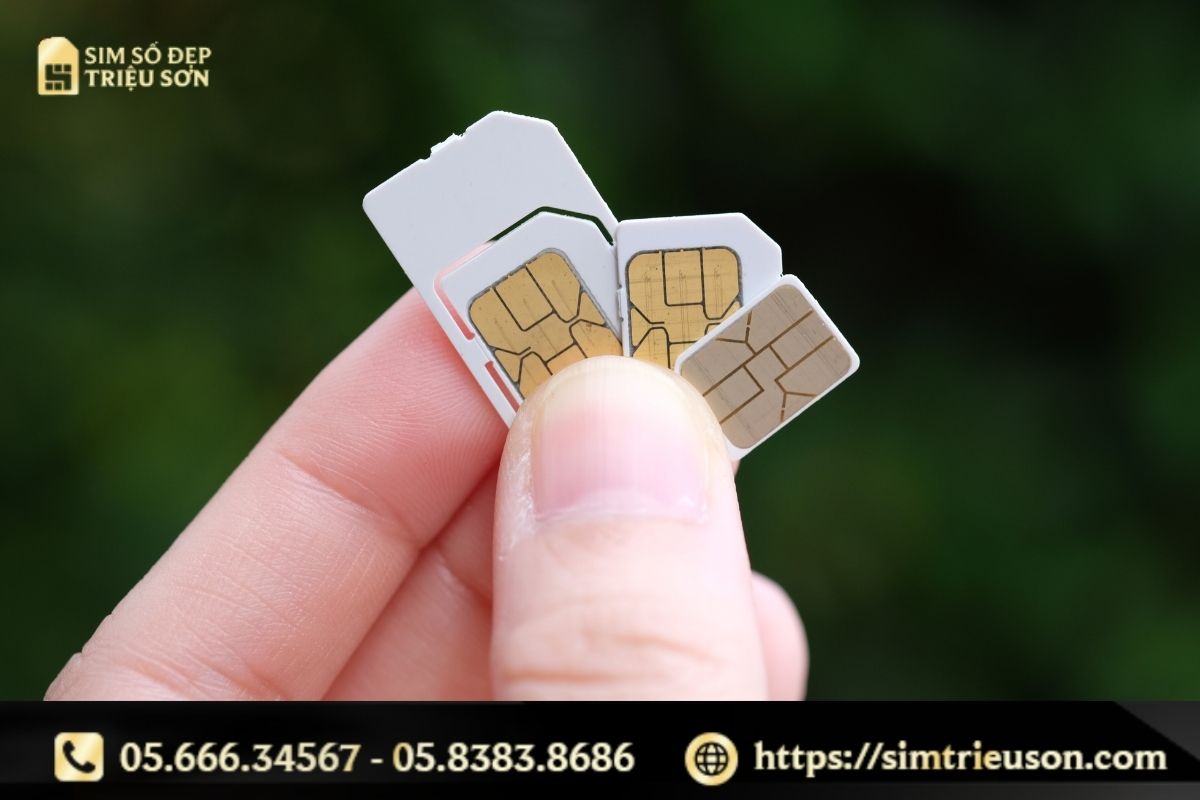 Sim số đẹp là gì? Bí quyết chọn sim tứ quý, ngũ quý, lộc phát hợp mệnh, giá tốt