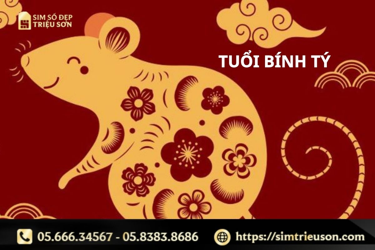 Người sinh năm 1996 thuộc tuổi Bính Tý