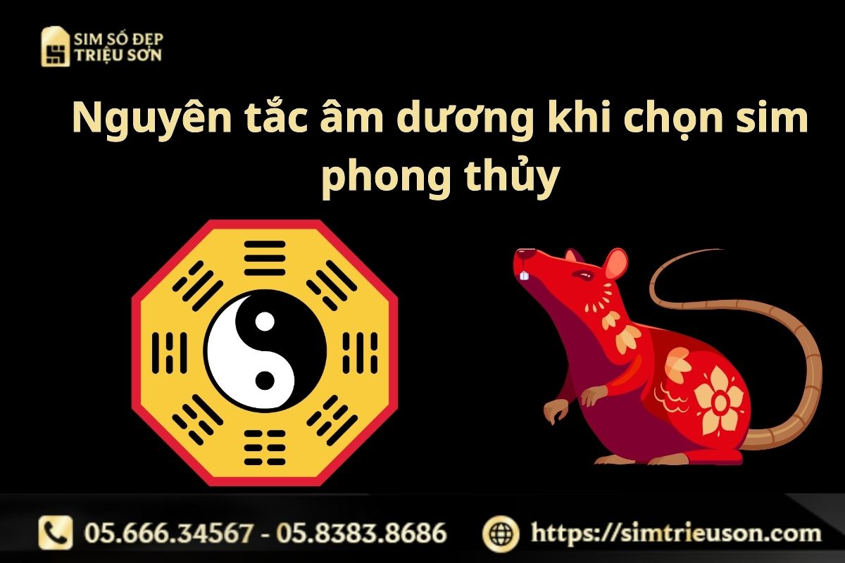 Nguyên tắc âm dương rất quan trọng khi chọn sim