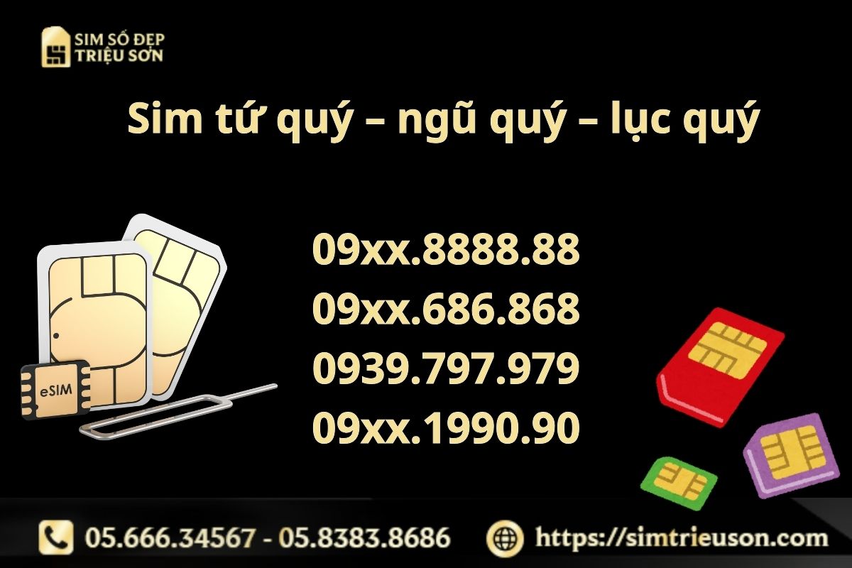 Sim tứ quý – ngũ quý – lục quý hợp với 1996