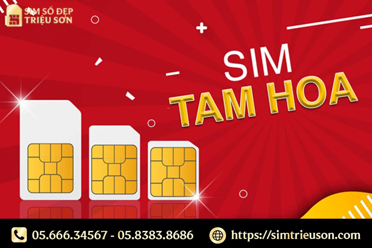 Ý nghĩa của từng loại Sim Tam Hoa sẽ khác nhau