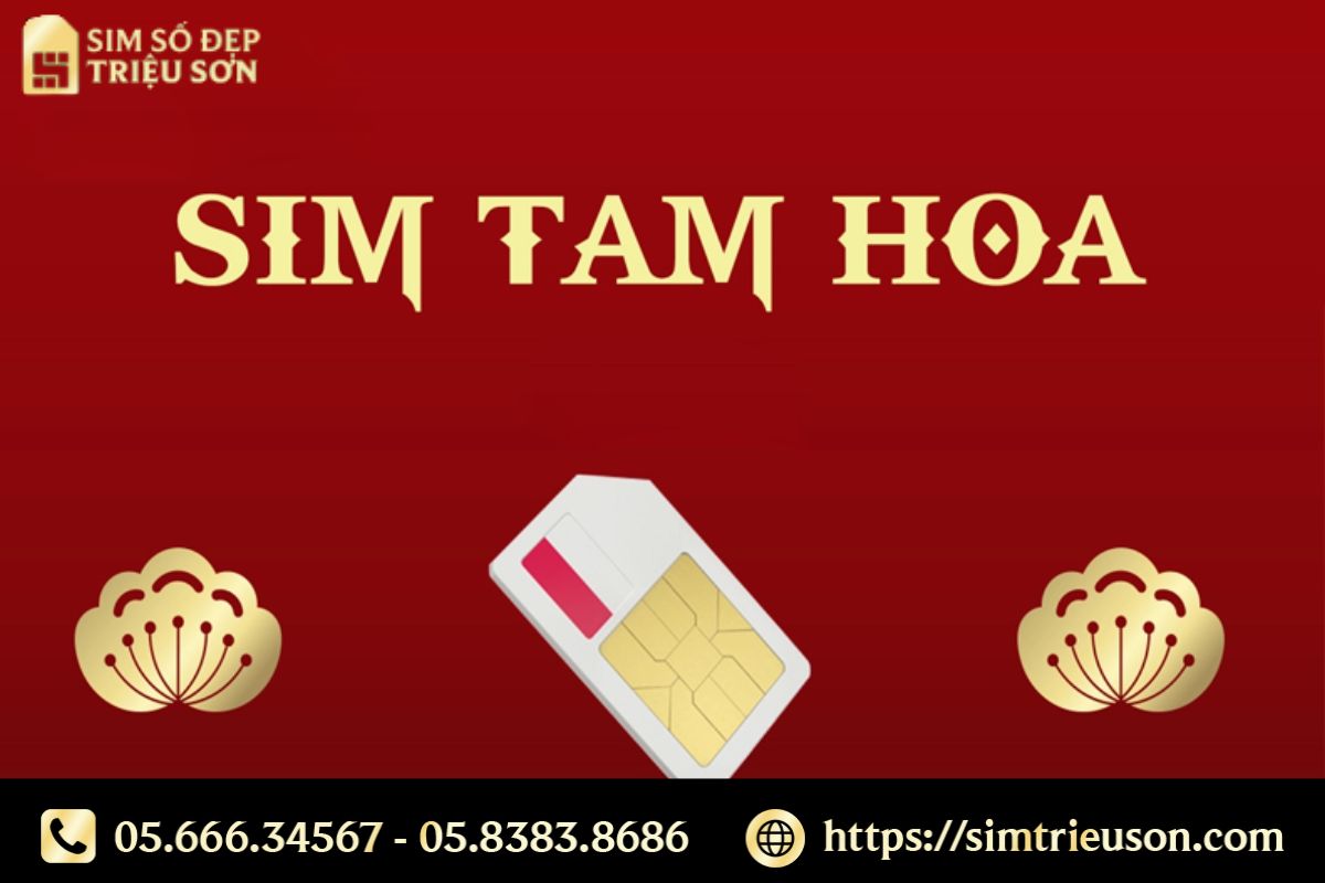 Địa chỉ uy tín để mua Sim Tam Hoa – Sim Số Đẹp Triệu Sơn