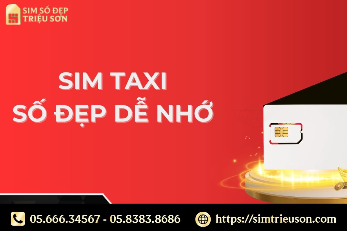 Để chọn được một chiếc sim taxi phù hợp, bạn nên cân nhắc nhiều yếu tố khác nhau