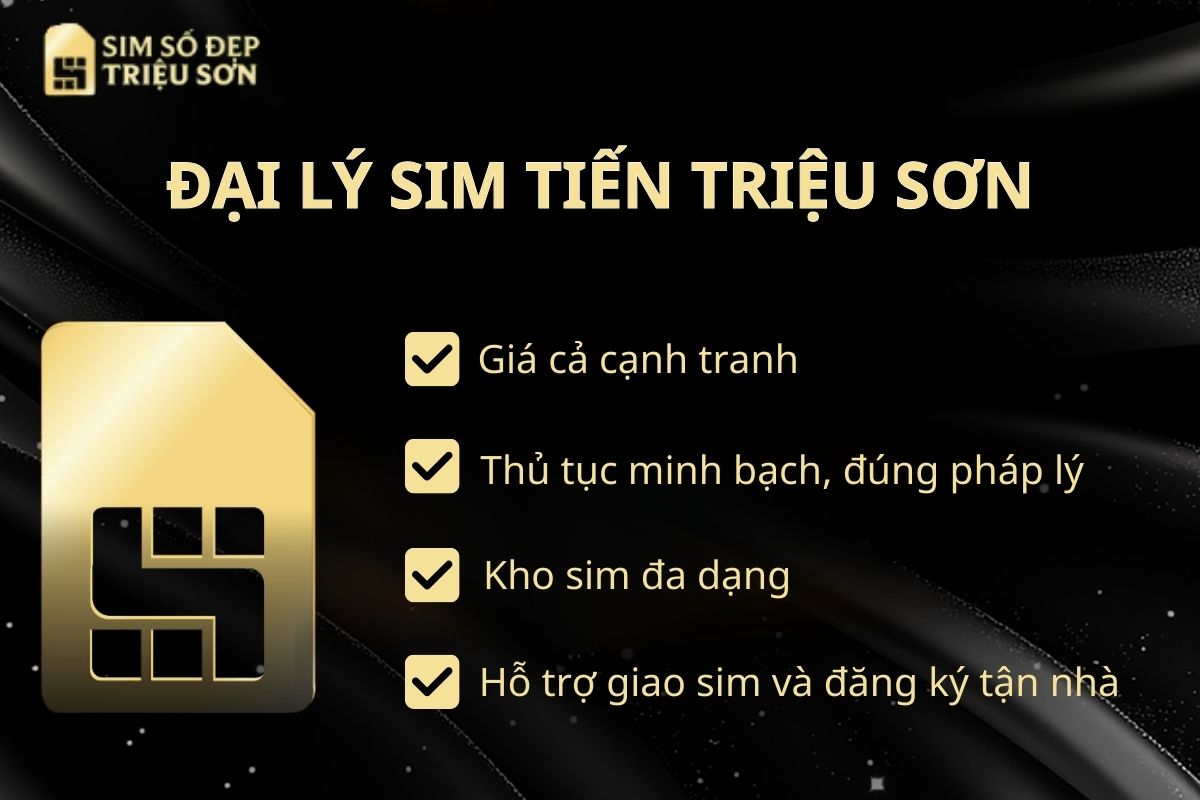 Mua sim tiến tại Sim tiến Triệu Sơn đảm bảo chính chủ, giá tốt