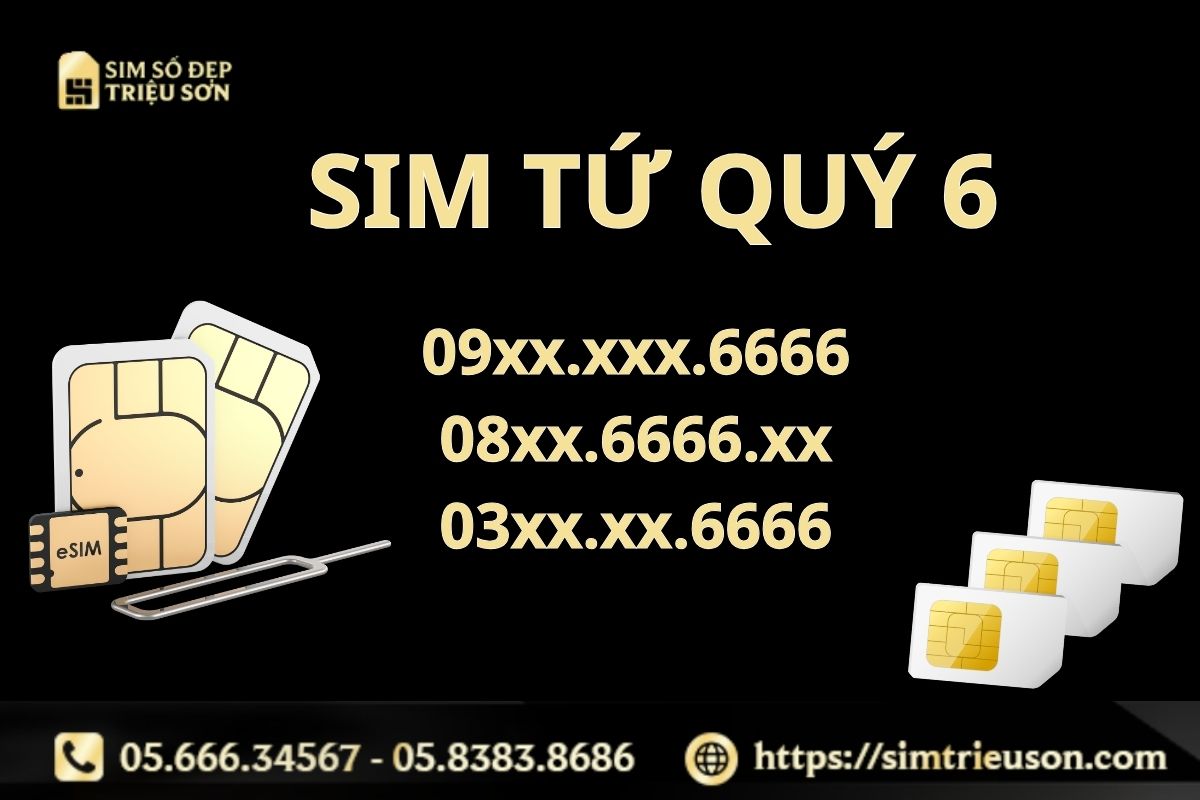 Sim tứ quý 6 mang đến nhiều ý nghĩa tài lộc, may mắn cho chủ nhân