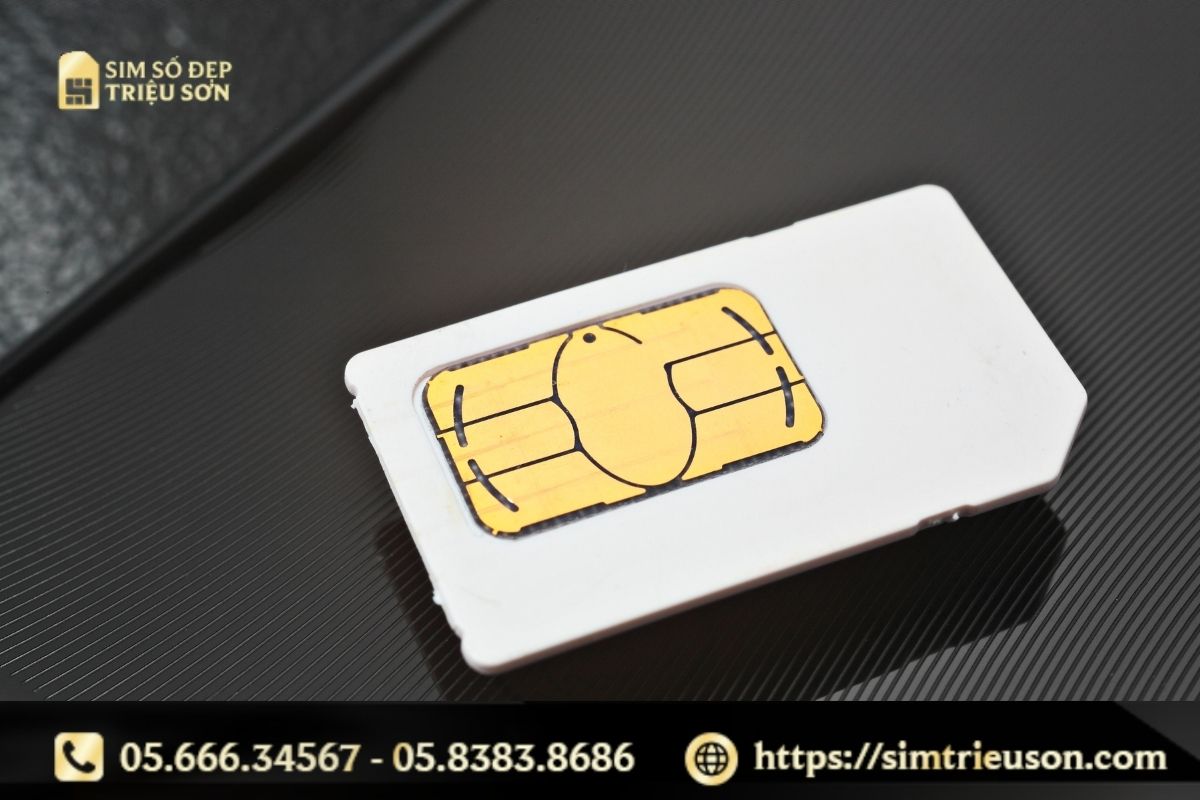 Sim tứ quý 6 hợp với mệnh Thủy và mệnh Kim