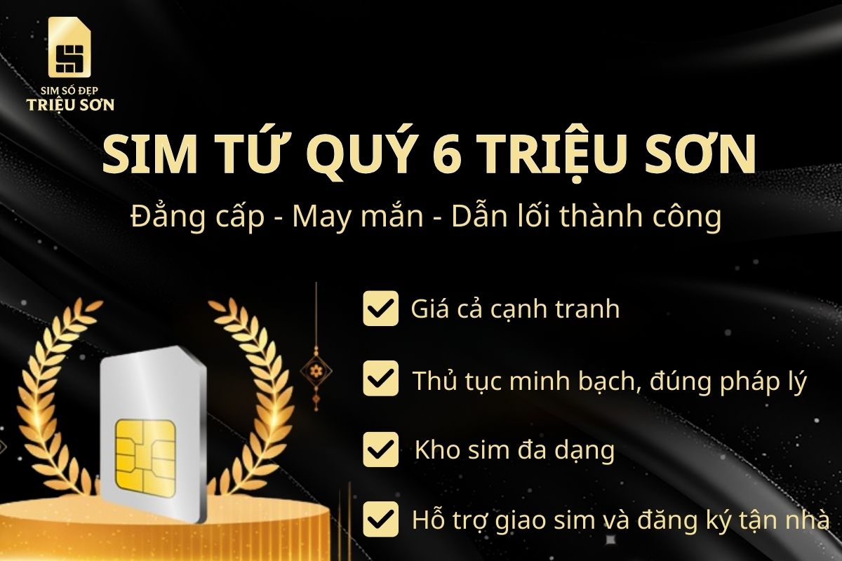 Sim tứ quý 6 (6666) hợp mệnh nào? Giá trị phong thủy và cách chọn tốt nhất