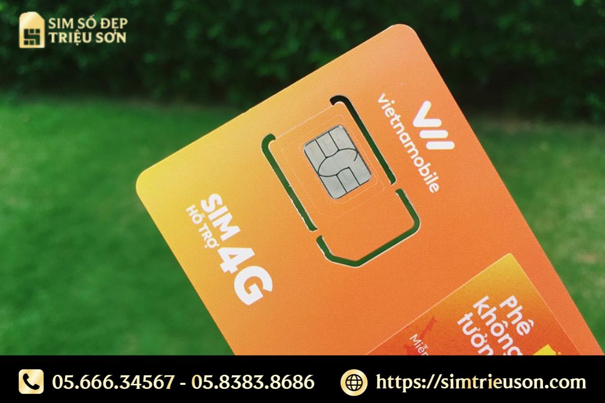 Sim Vietnamobile giá rẻ – Lựa chọn phù hợp cho mọi khách hàng