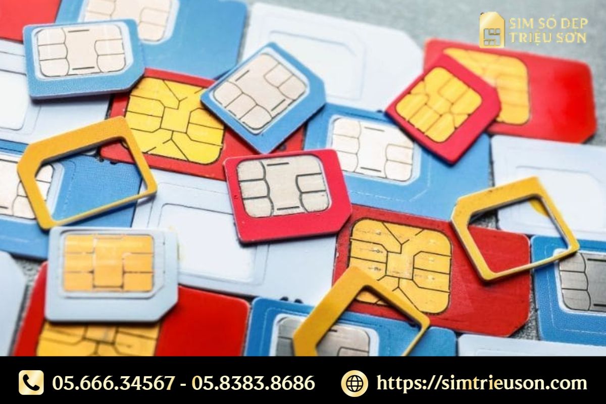 Các loại sim được thu mua nhiều nhất hiện nay